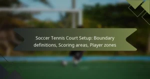 Soccer Tennis Court Setup: Boundary definitions, Scoring areas, Player zones
